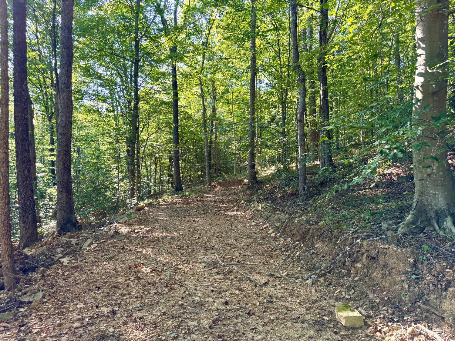 514 Dog Hollow Road, Otway, OH, 45657 — photo 9
