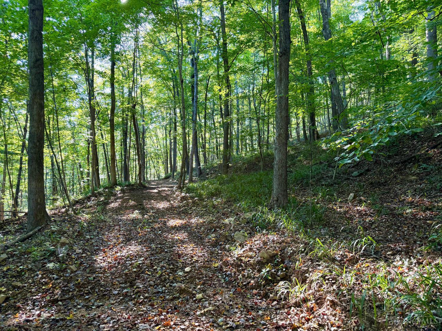 514 Dog Hollow Road, Otway, OH, 45657 — photo 11