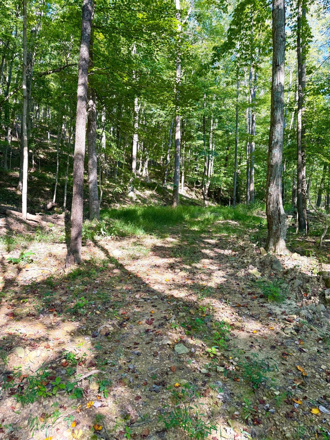 514 Dog Hollow Road, Otway, OH, 45657 — photo 50