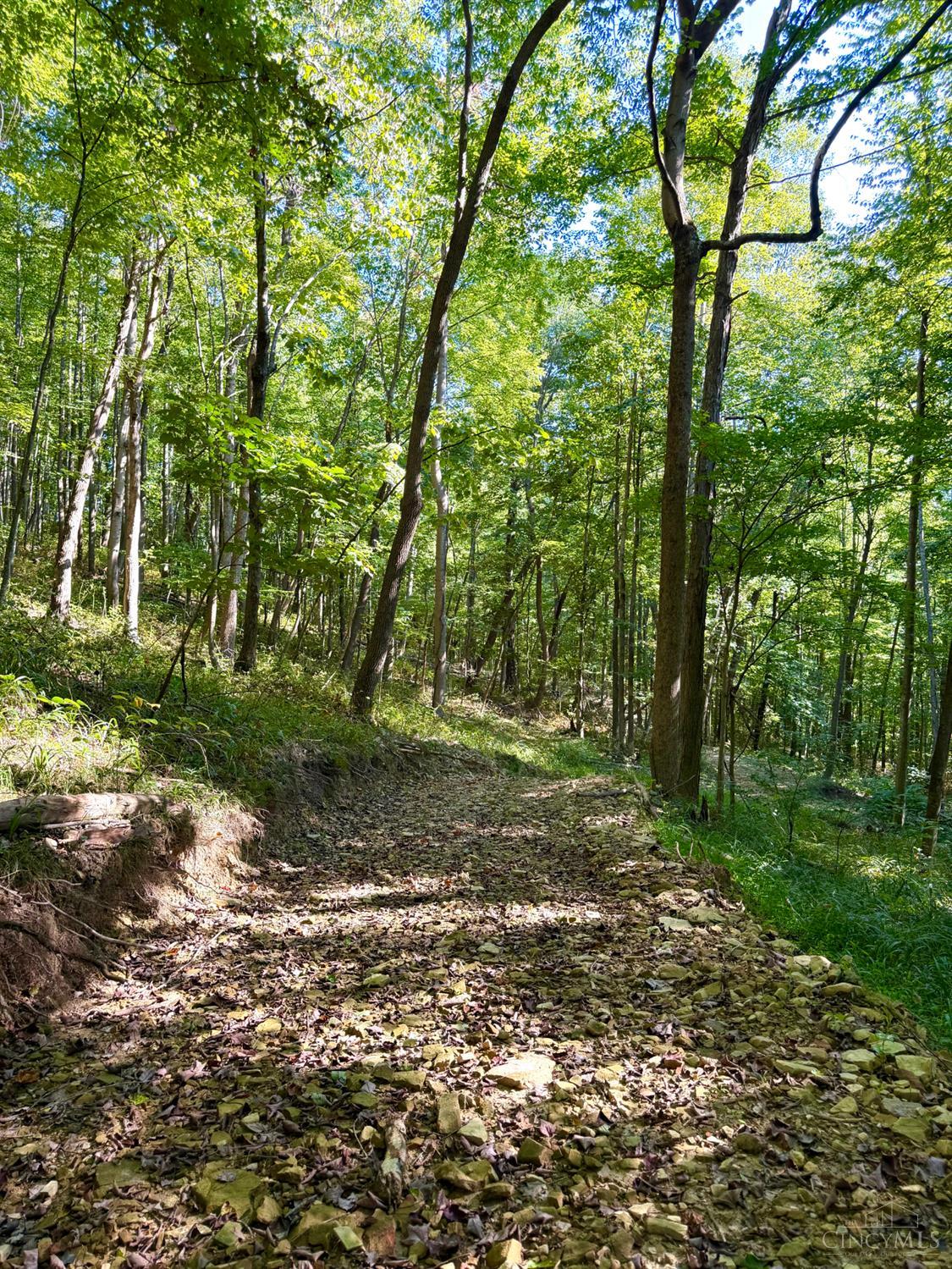 514 Dog Hollow Road, Otway, OH, 45657 — photo 61