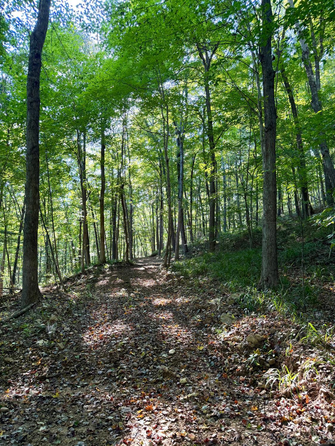 514 Dog Hollow Road, Otway, OH, 45657 — photo 68