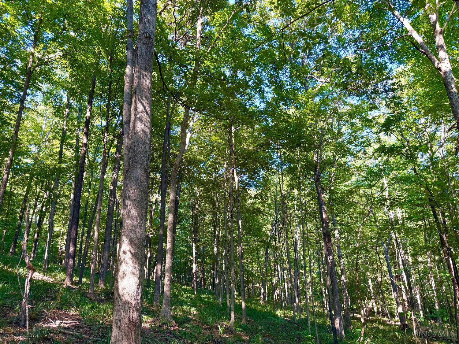 514 Dog Hollow Road, Otway, OH, 45657 — photo 57