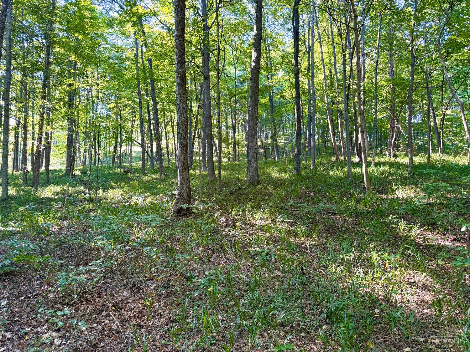 514 Dog Hollow Road, Otway, OH, 45657 — photo 7
