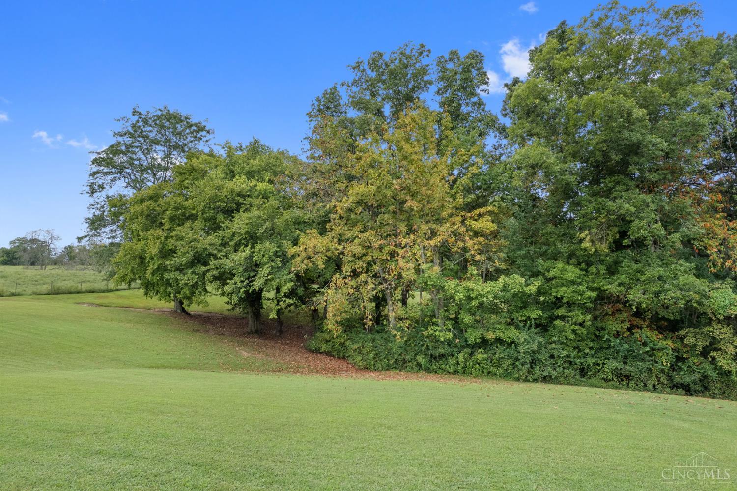 6365 St Rt 505, Lewis Twp, OH, 45121 — photo 14