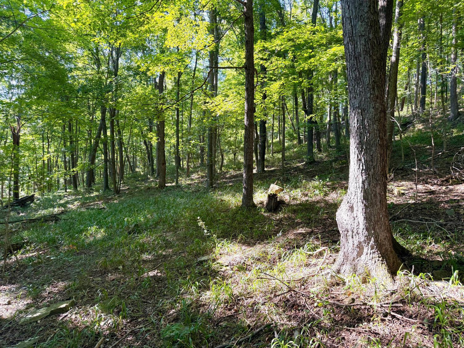 Photo 4 of Land for sale at 514 Dog Holw Rd, Otway, OH 45657 | MLS# 1893729 | Listing updated on 2026-09-13