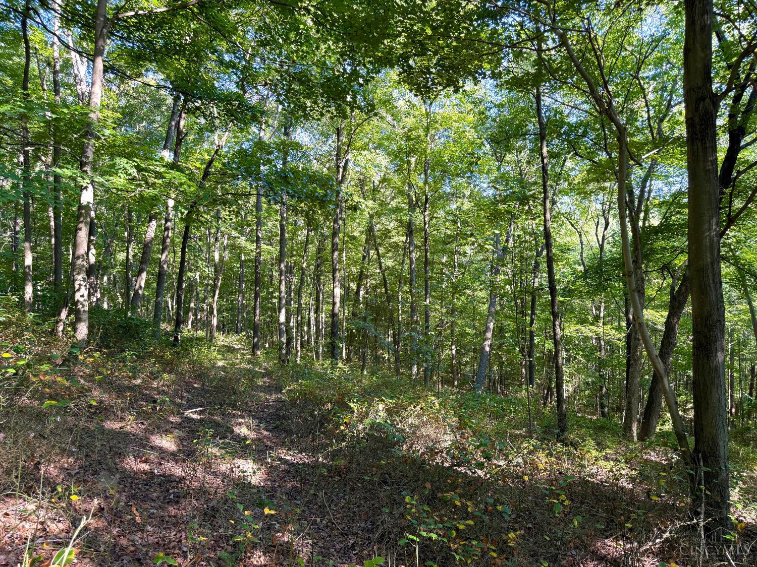 514 Dog Hollow Road, Otway, OH, 45657 — photo 66