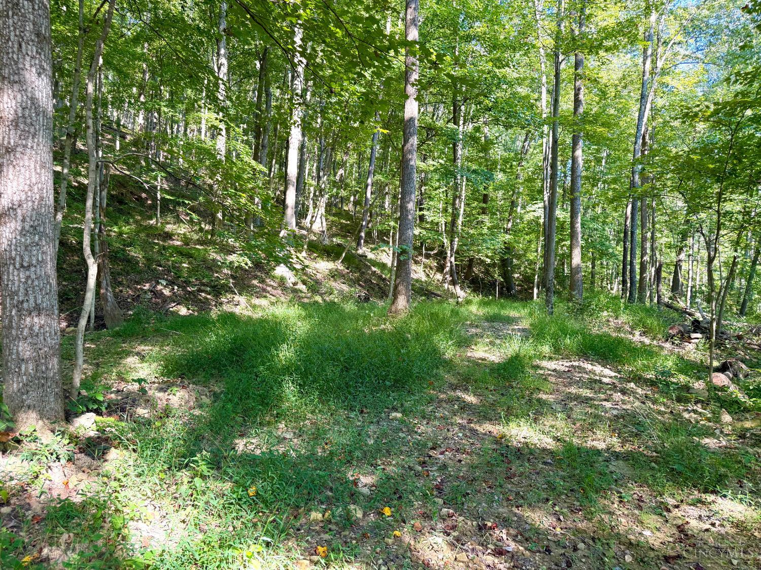 514 Dog Hollow Road, Otway, OH, 45657 — photo 51