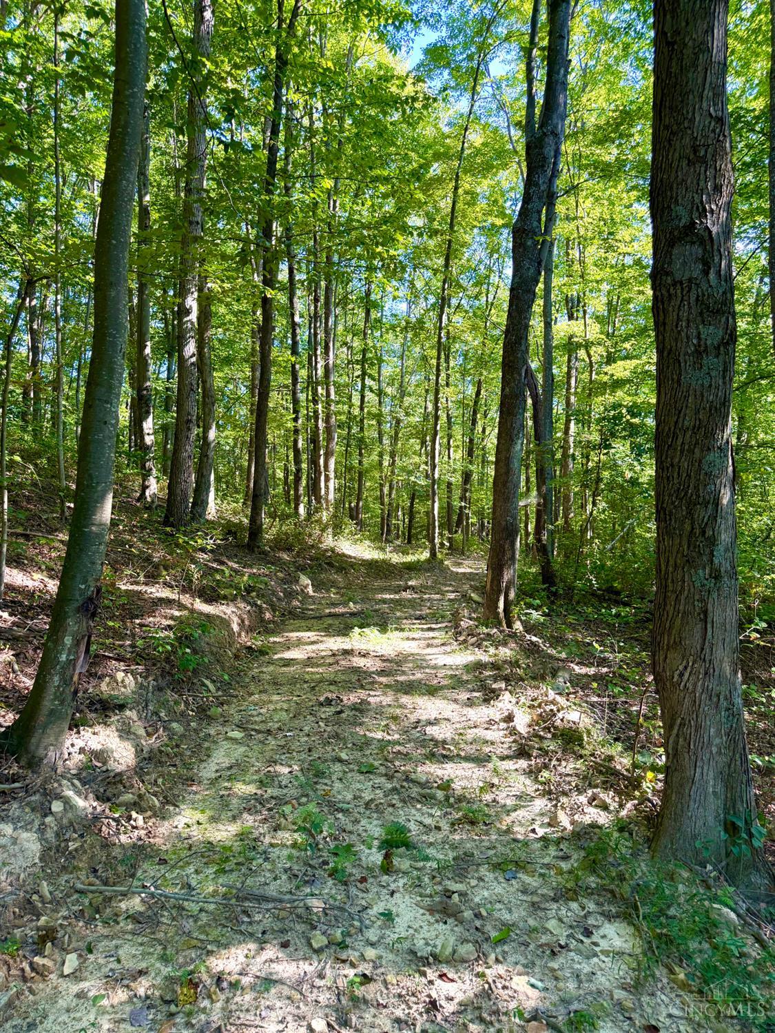514 Dog Hollow Road, Otway, OH, 45657 — photo 62