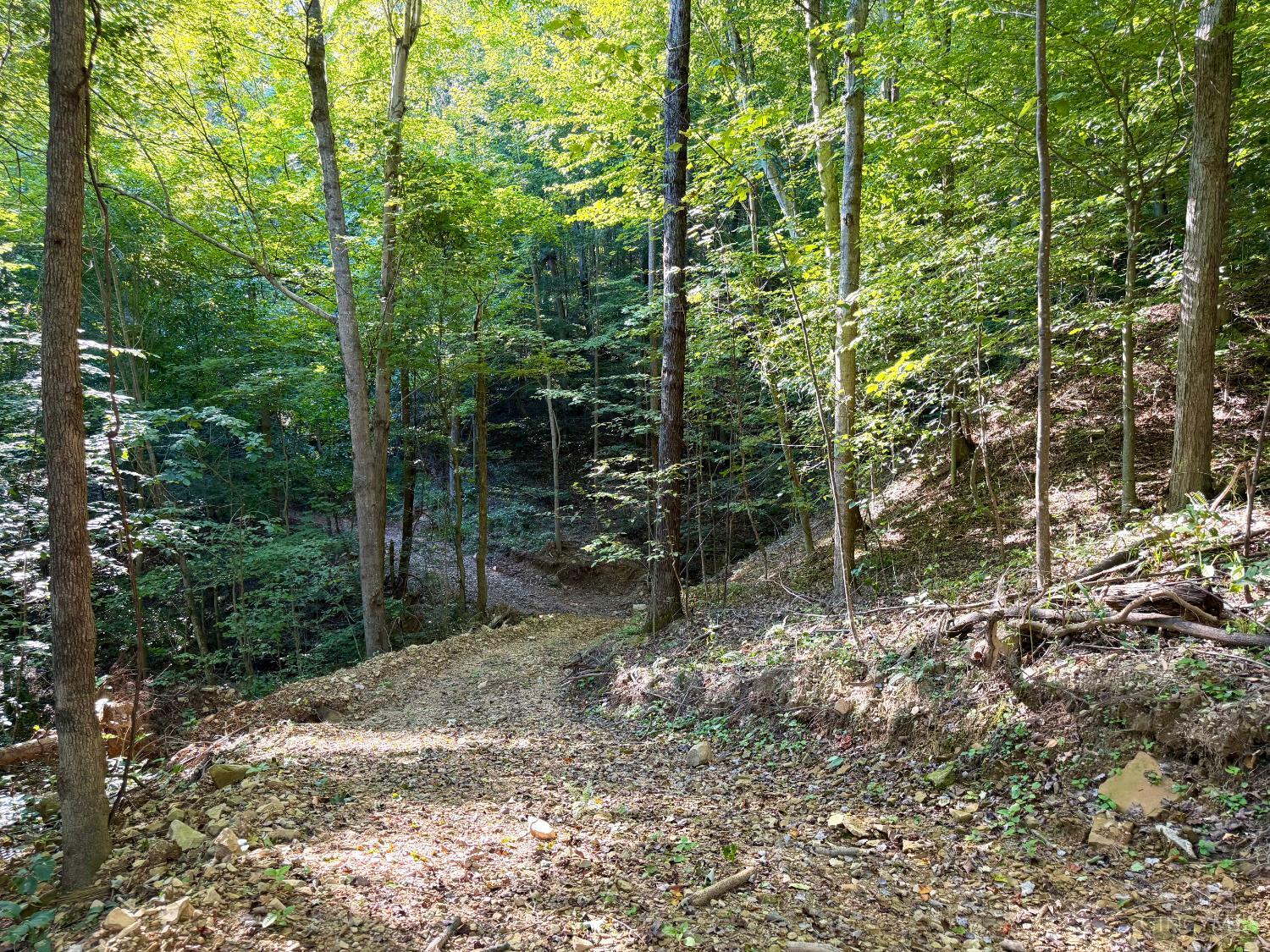 514 Dog Hollow Road, Otway, OH, 45657 — photo 67