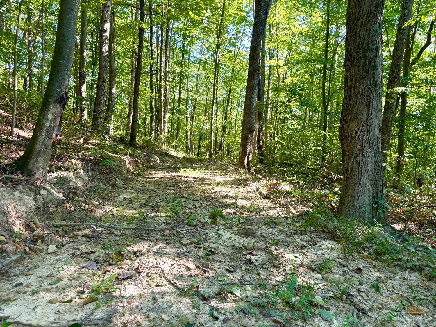 514 Dog Hollow Road, Otway, OH, 45657 — photo 8