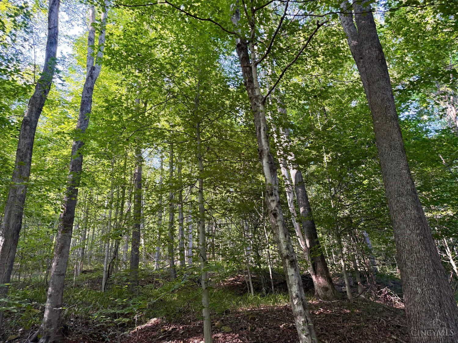 514 Dog Hollow Road, Otway, OH, 45657 — photo 12