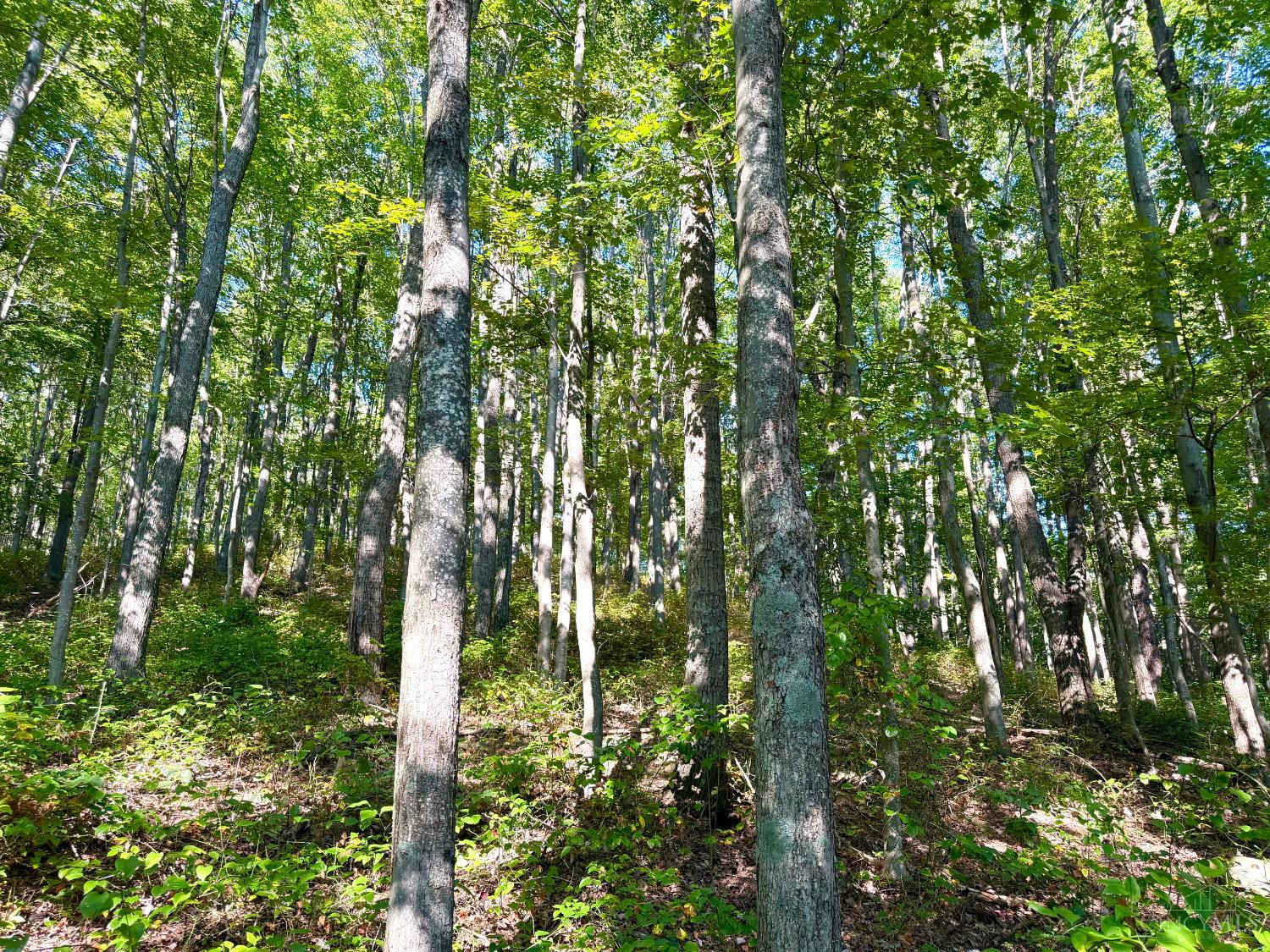 514 Dog Hollow Road, Otway, OH, 45657 — photo 65