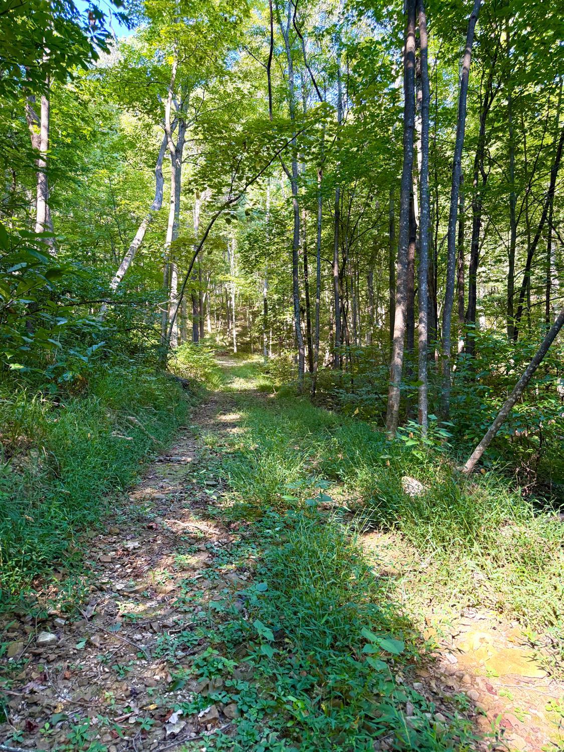 514 Dog Hollow Road, Otway, OH, 45657 — photo 59