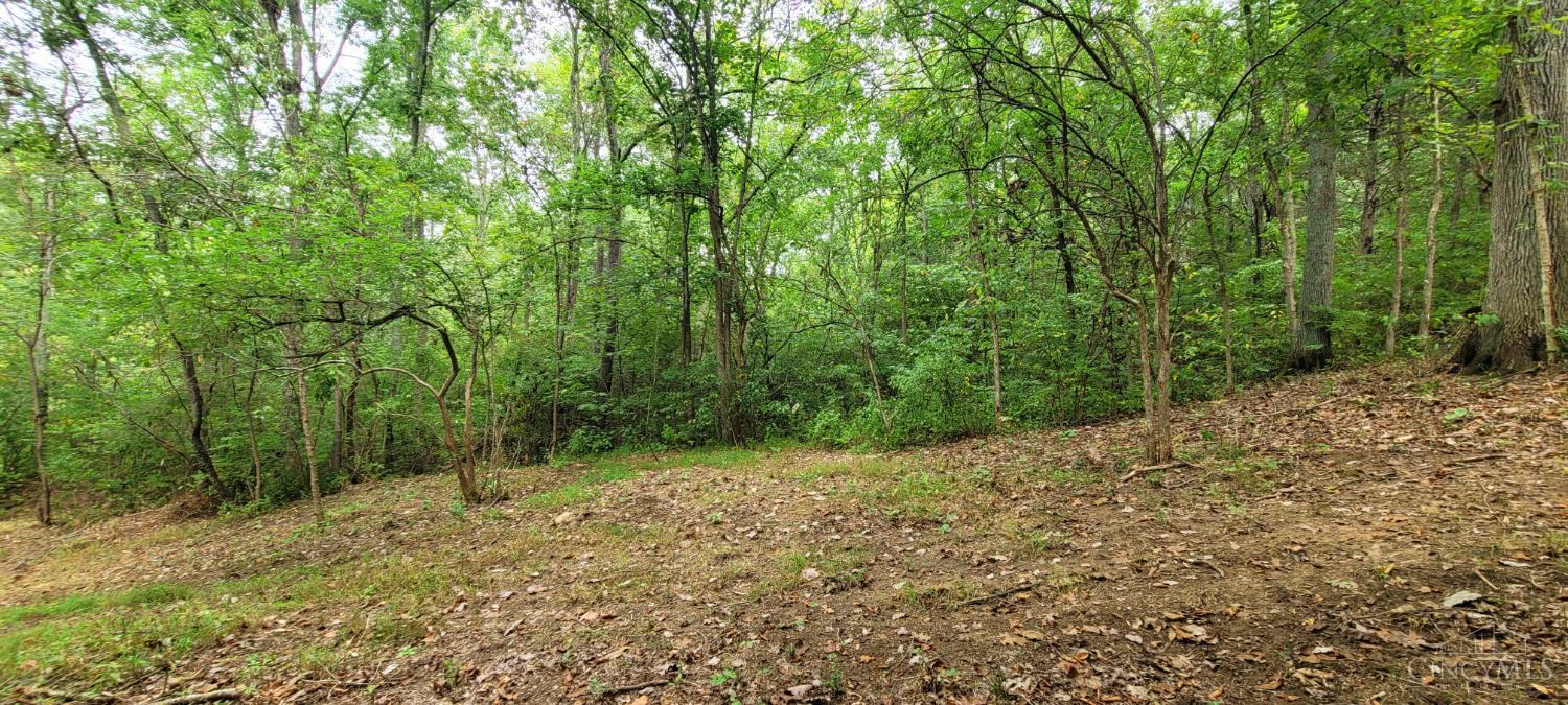 398 Bear Creek Rd, Washington Twp, OH, 45120 — photo 7