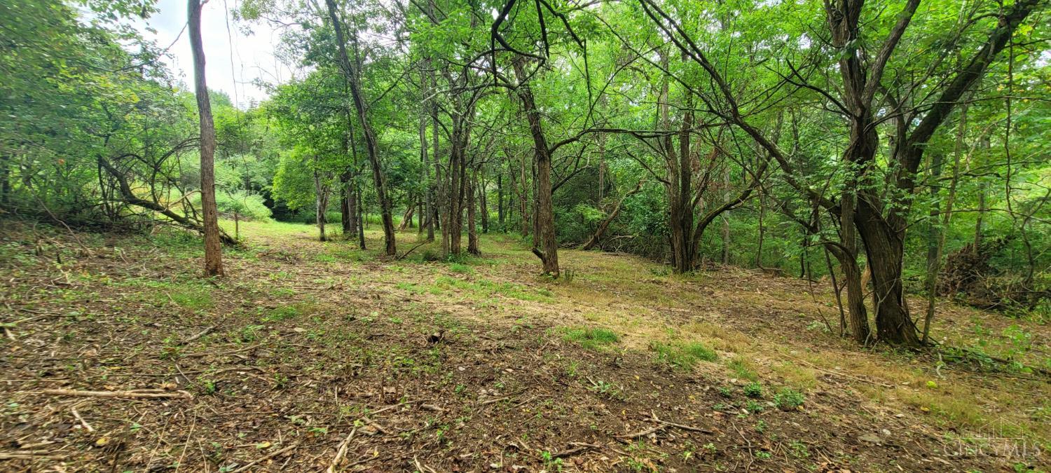 Photo 2 of Land for sale at 398 Bear Crk Rd, Felicity, OH 45120 | MLS# 1893783 | Listing updated on 2026-09-14