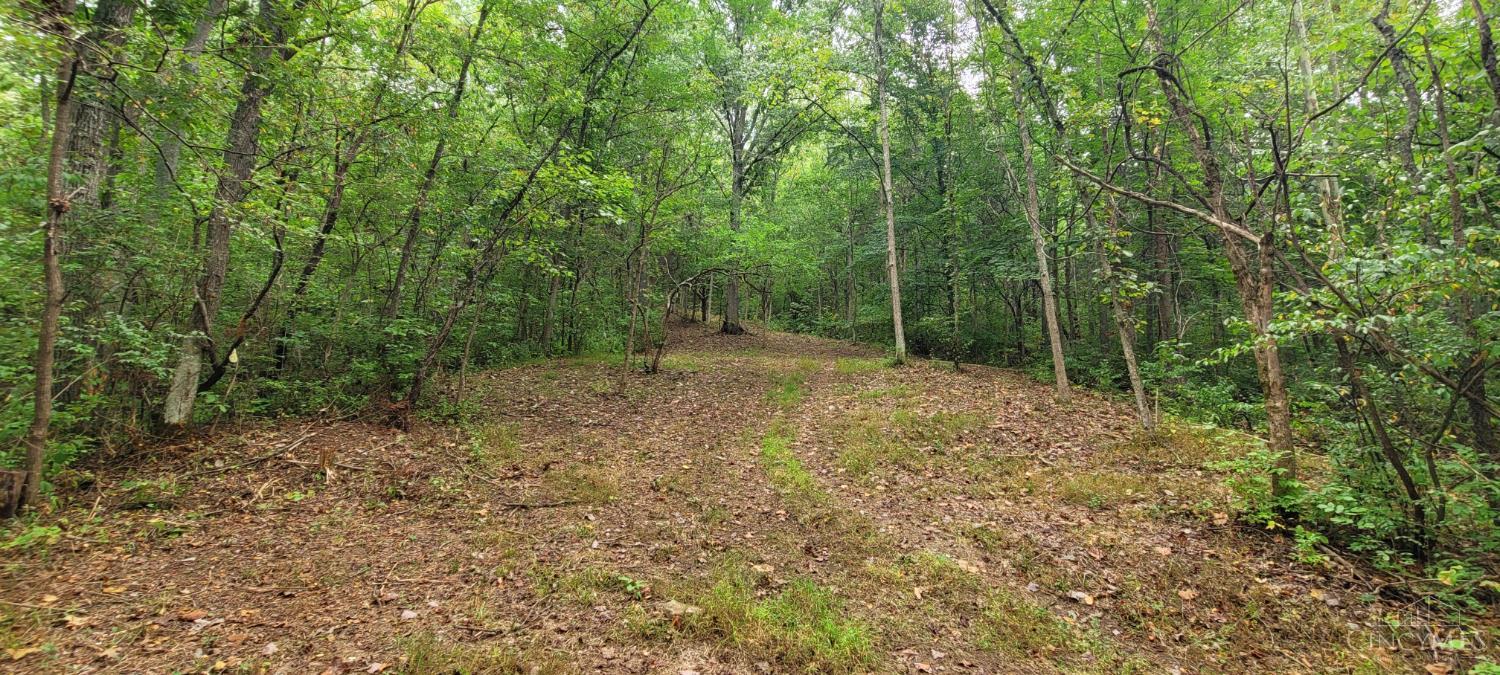 398 Bear Creek Rd, Washington Twp, OH, 45120 — photo 4