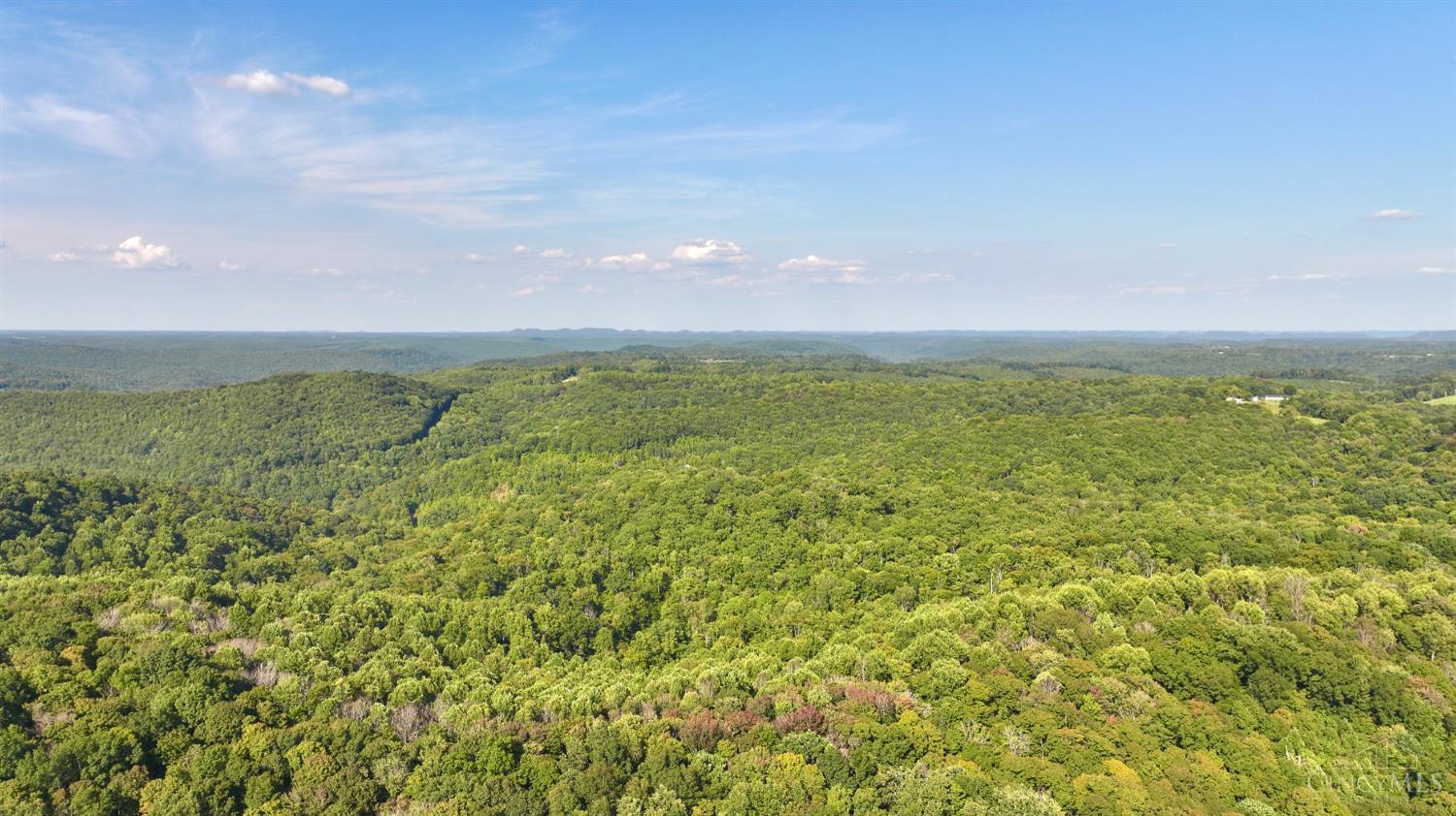 514 Dog Hollow Road, Otway, OH, 45657 — photo 46