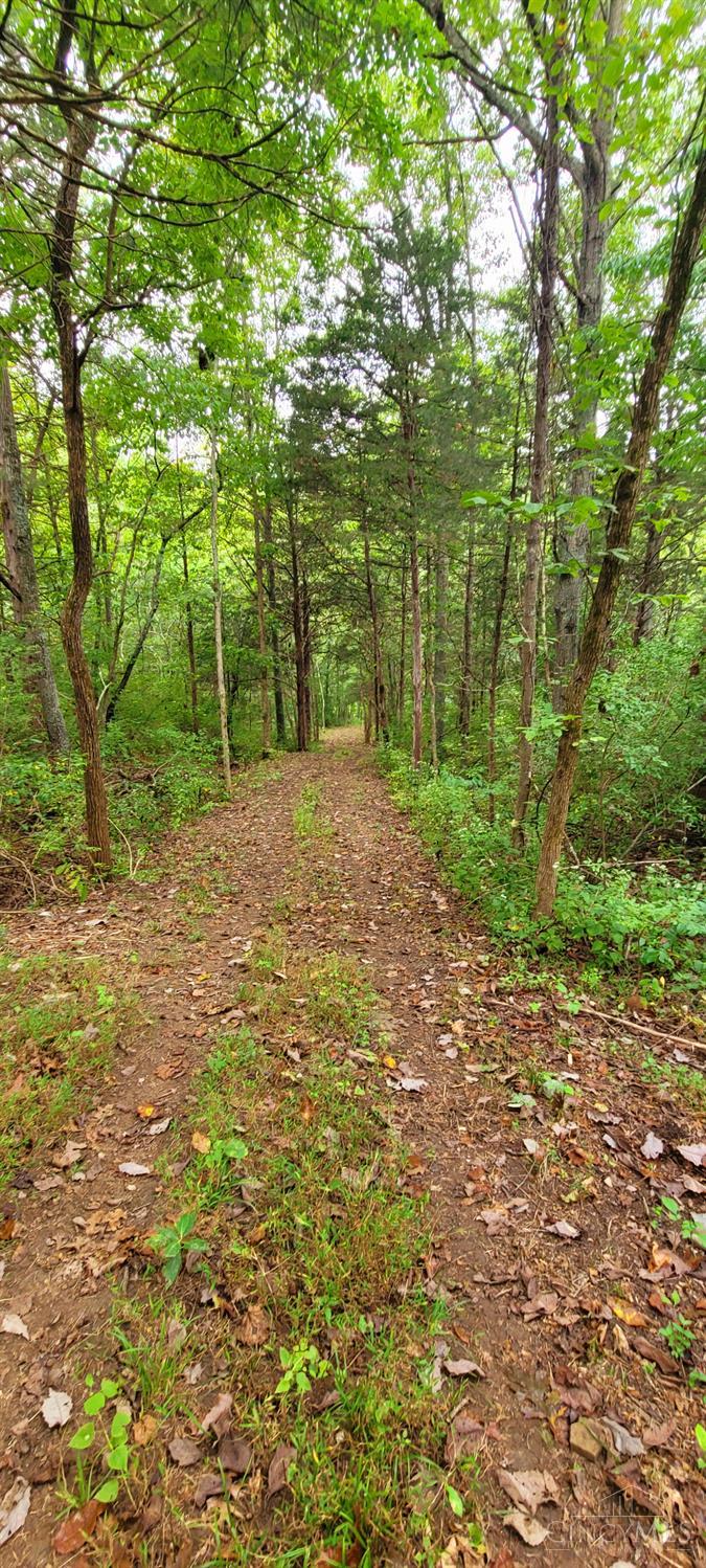 398 Bear Creek Rd, Washington Twp, OH, 45120 — photo 21