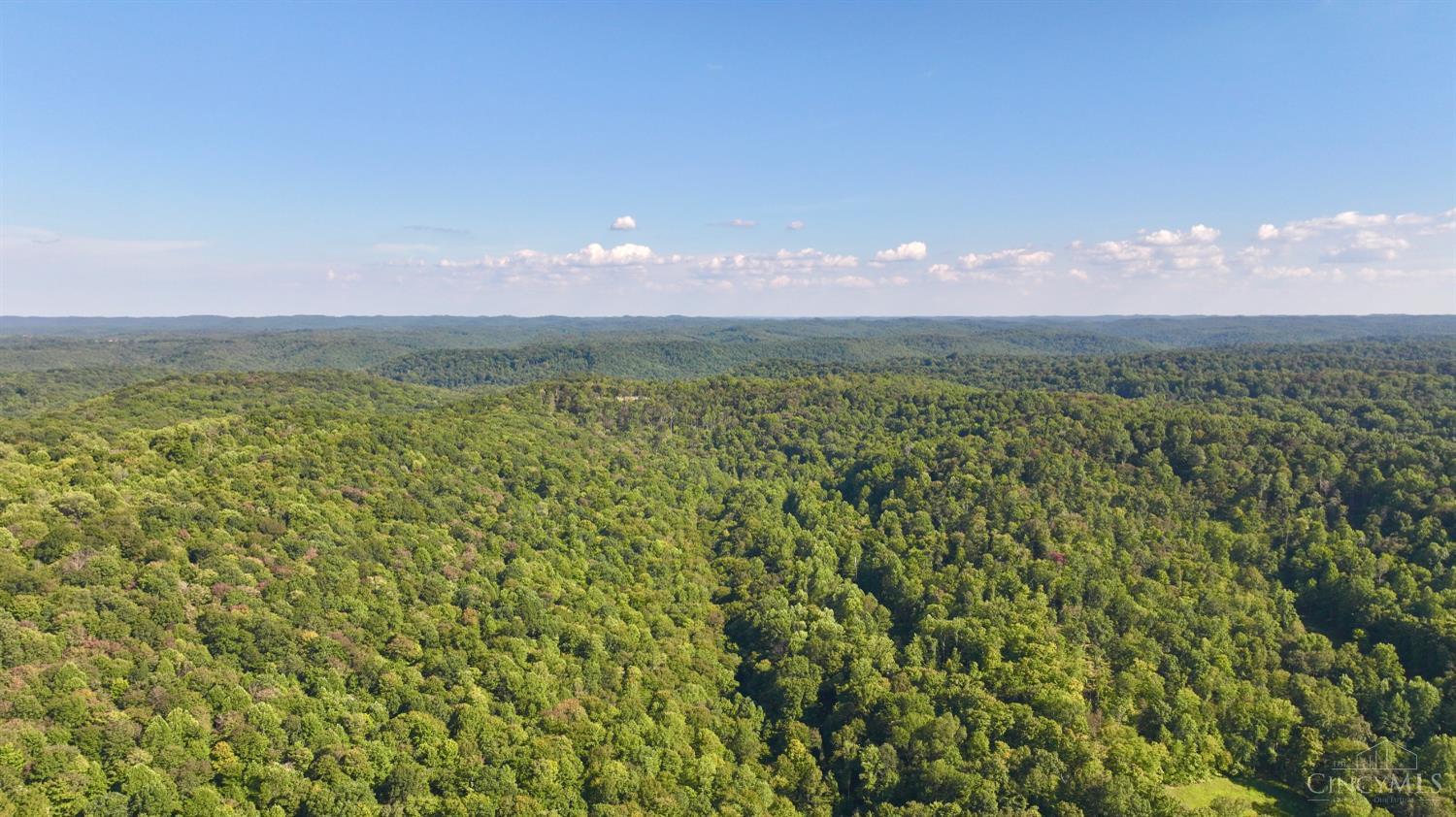 514 Dog Hollow Road, Otway, OH, 45657 — photo 45