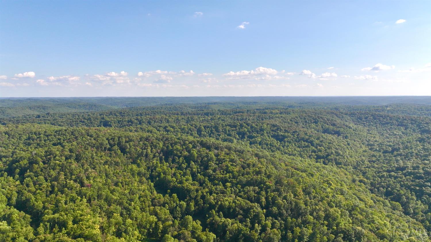514 Dog Hollow Road, Otway, OH, 45657 — photo 43