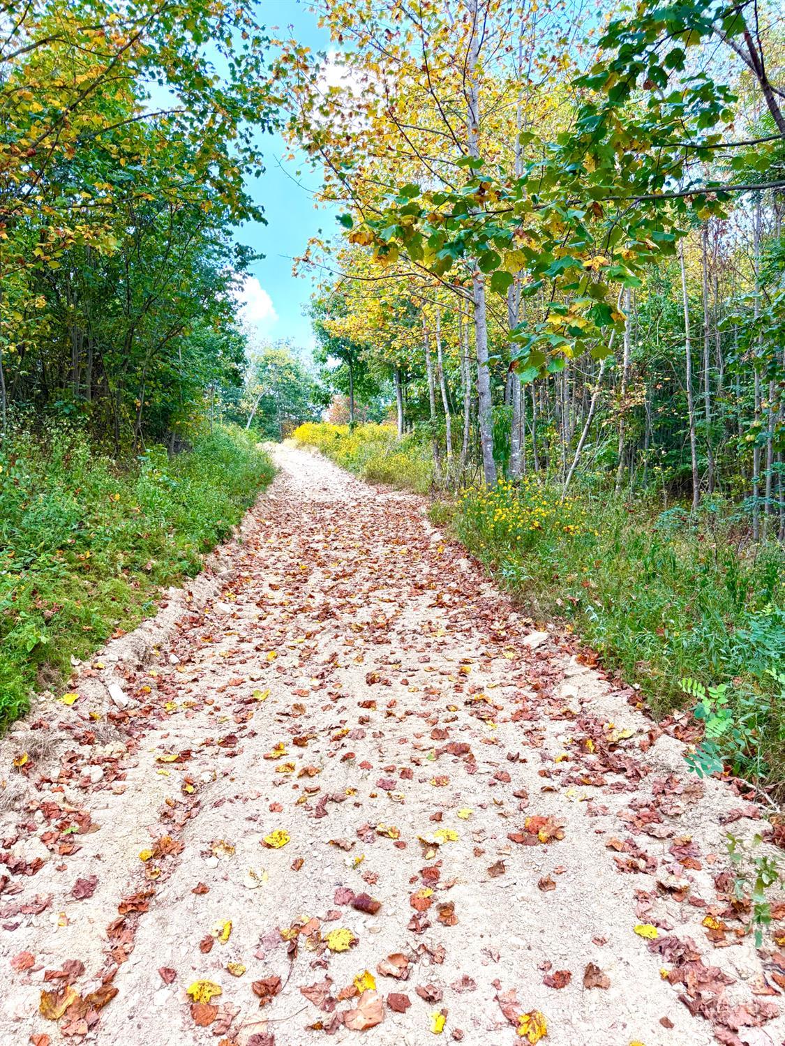 Roy Rogers Road, Lucasville, OH, 45648 — photo 16