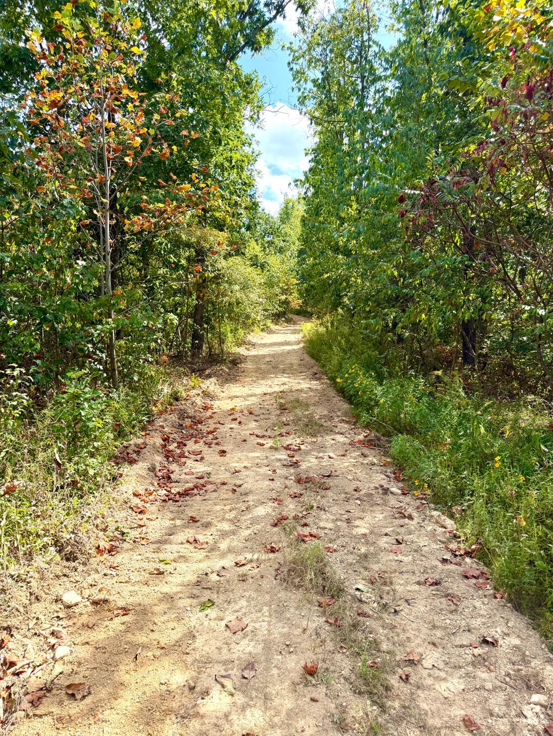 Roy Rogers Road, Lucasville, OH, 45648 — photo 26