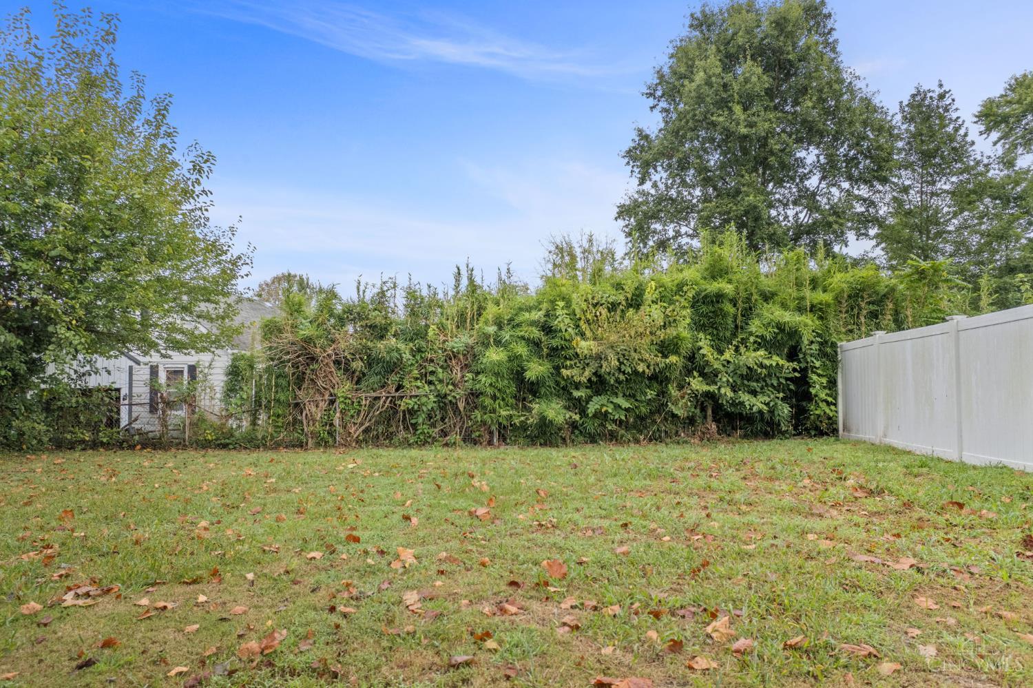 303 North Street, Pleasant Twp, OH, 45121 — photo 13