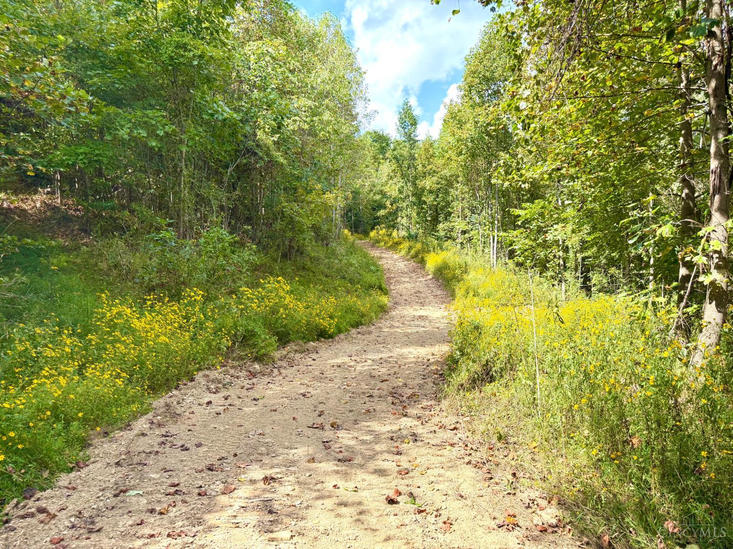 Roy Rogers Road, Lucasville, OH, 45648 — photo 13
