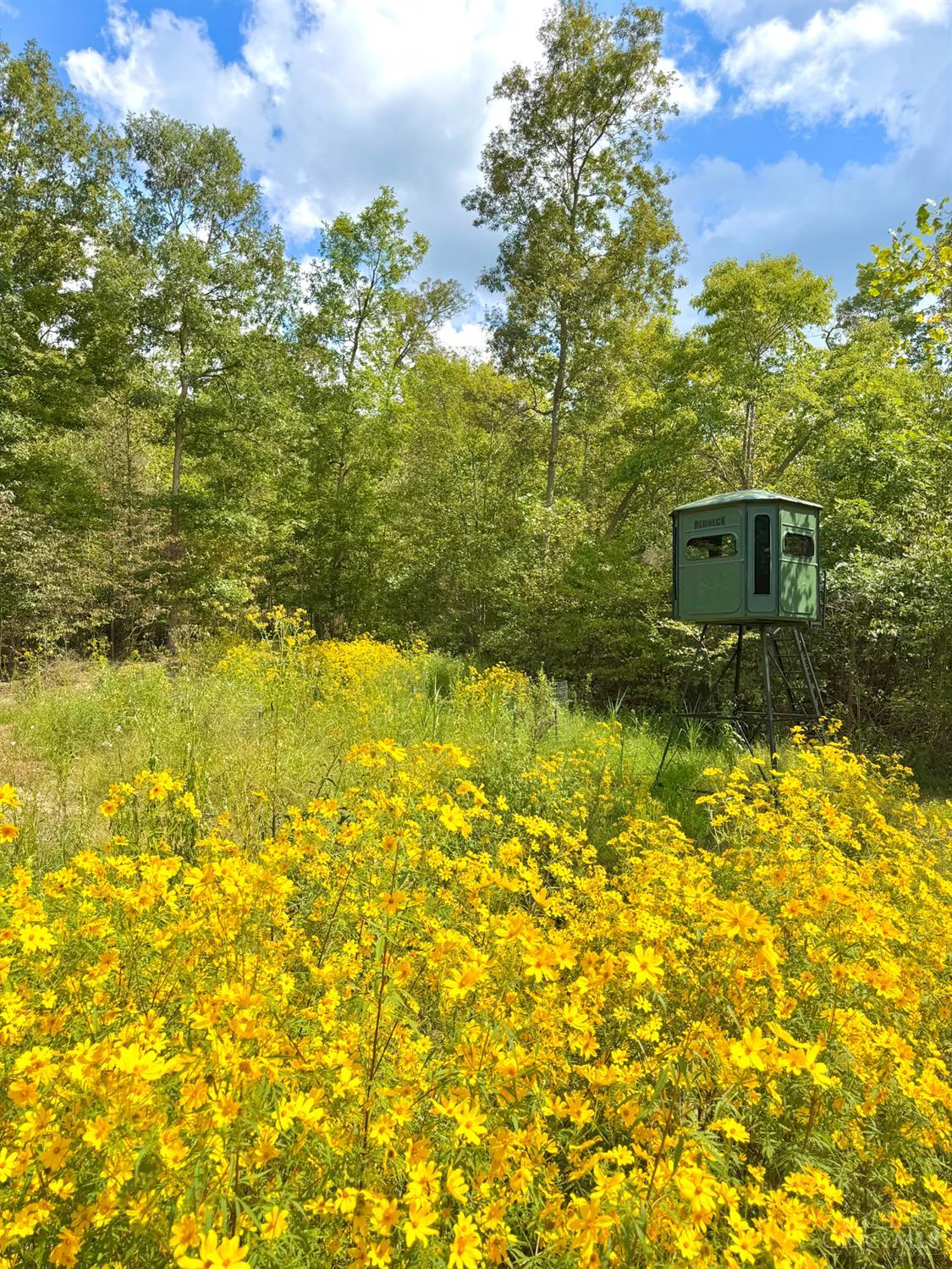 Photo 4 of Land for sale at Roy Rogers Rd, Lucasville, OH 45648 | MLS# 1893775 | Listing updated on 2026-09-15