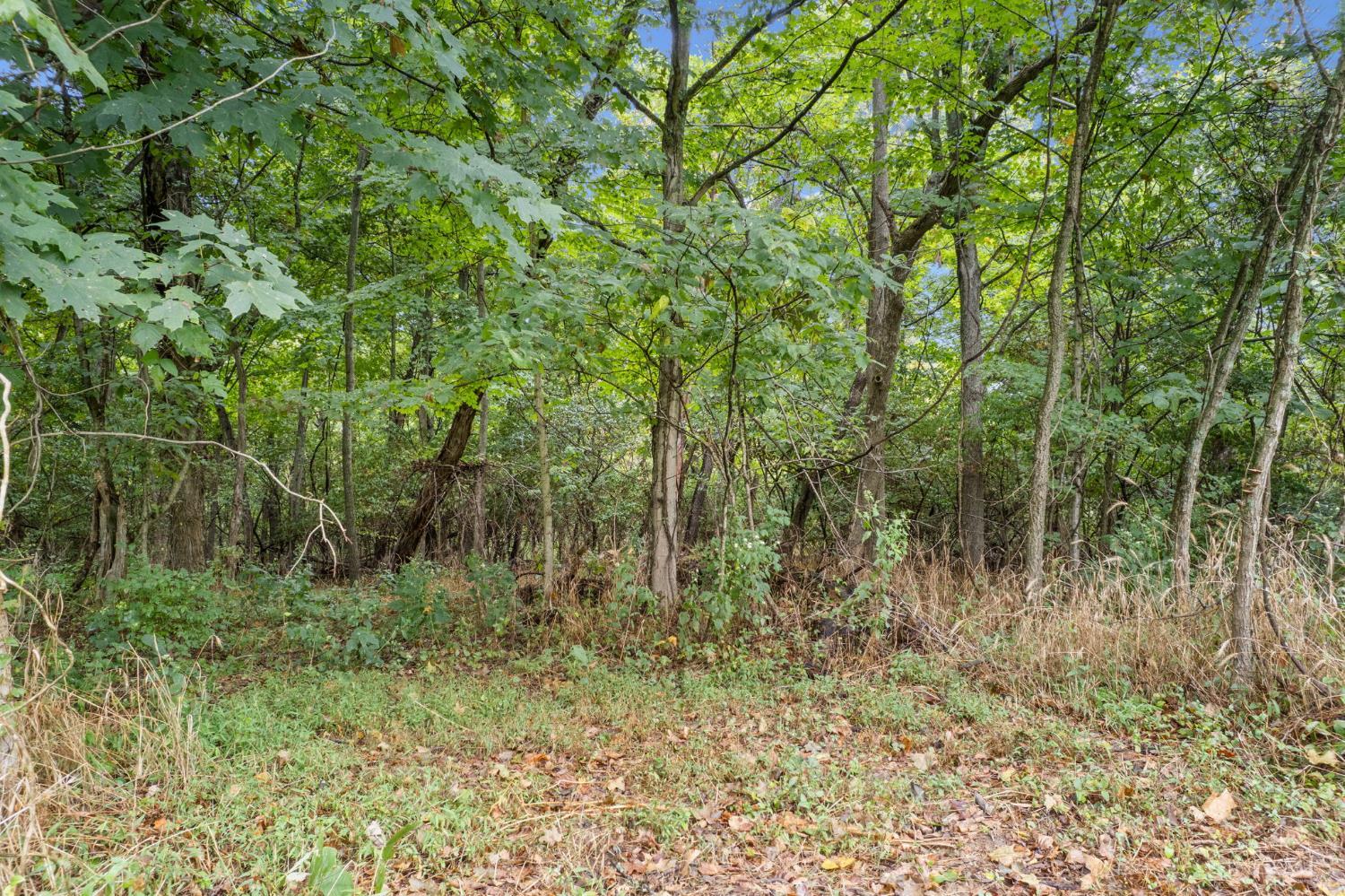 Swope Road, Tate Twp, OH, 45106 — photo 36