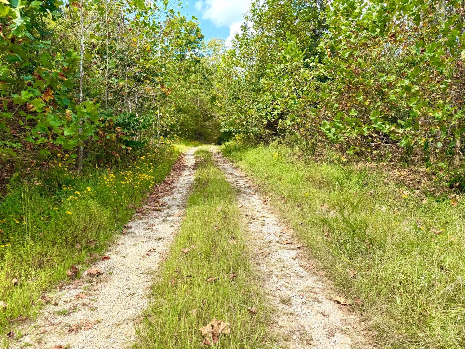Photo 2 of Land for sale at Roy Rogers Rd, Lucasville, OH 45648 | MLS# 1893775 | Listing updated on 2026-09-15