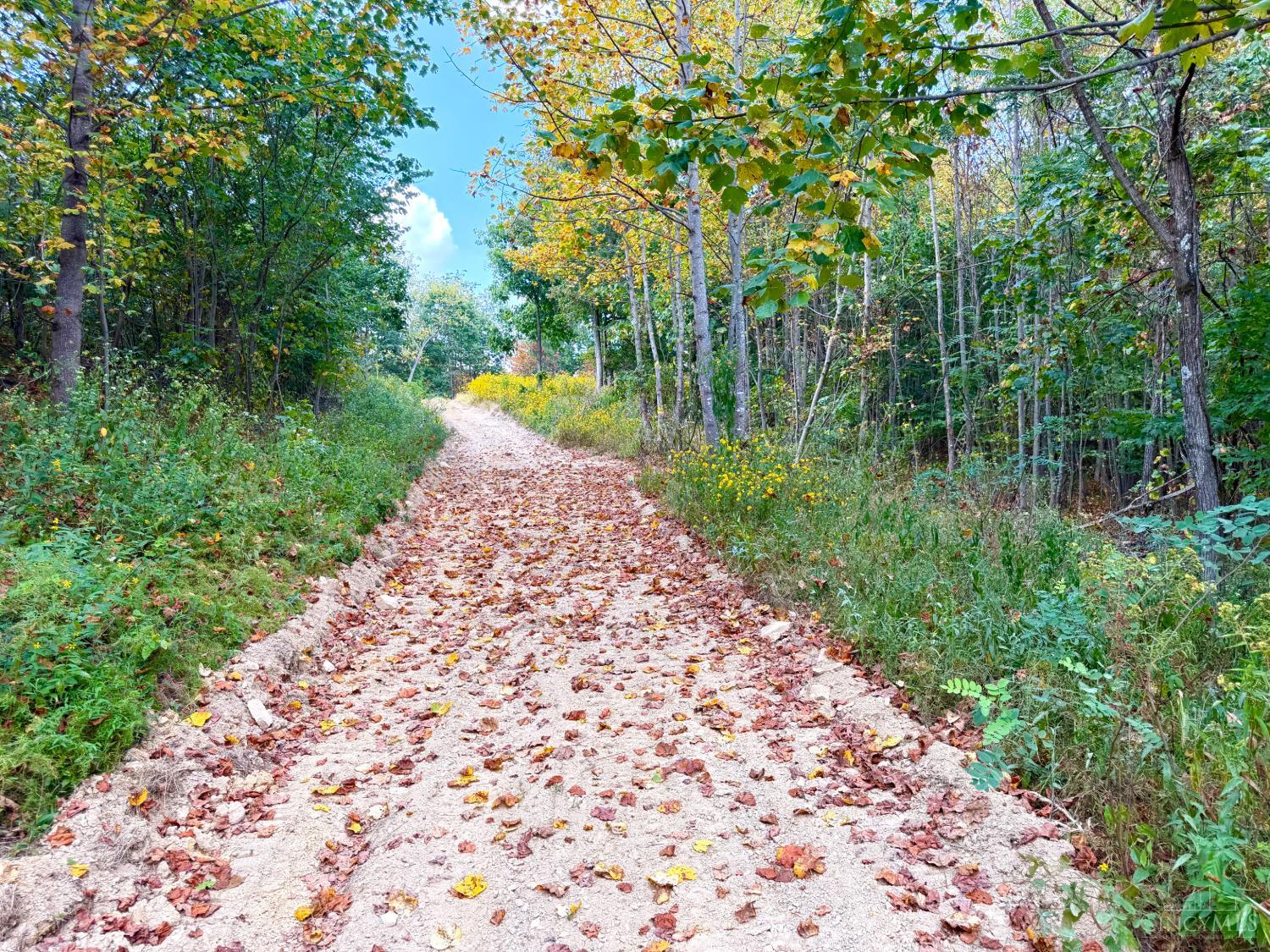 Roy Rogers Road, Lucasville, OH, 45648 — photo 17