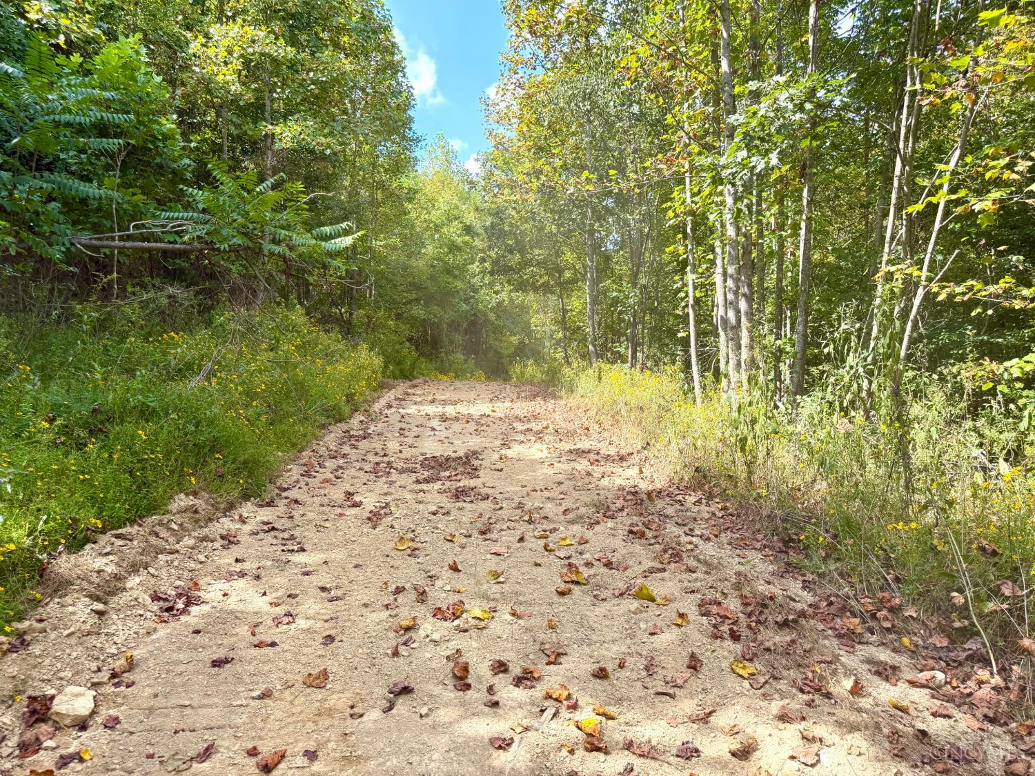 Roy Rogers Road, Lucasville, OH, 45648 — photo 12