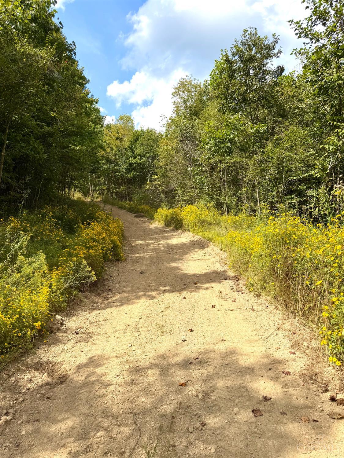 Roy Rogers Road, Lucasville, OH, 45648 — photo 10