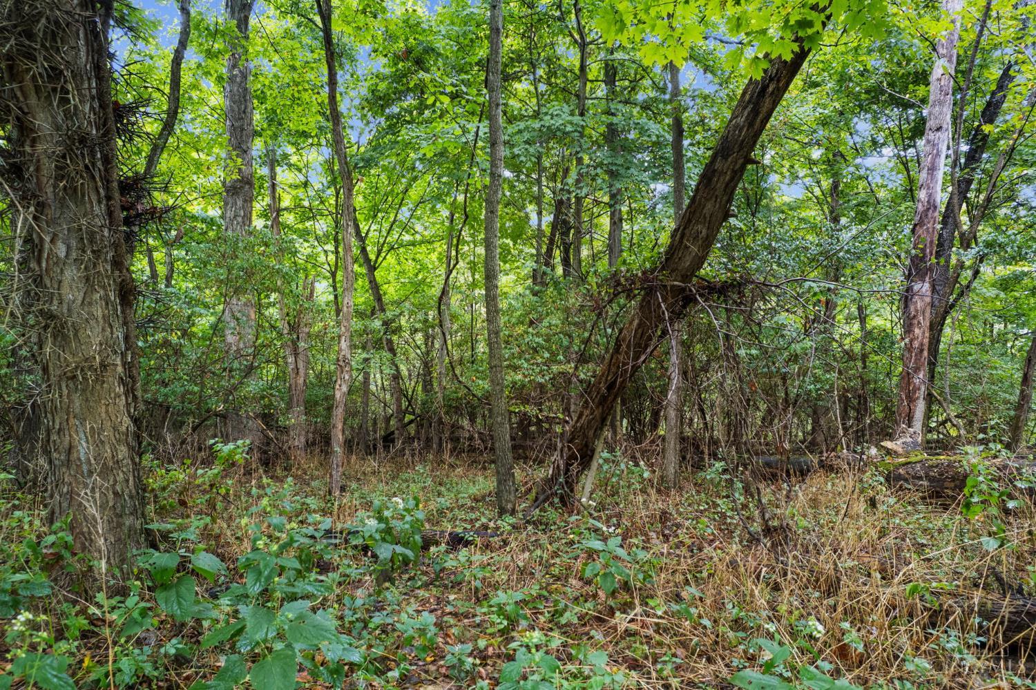 Swope Road, Tate Twp, OH, 45106 — photo 20