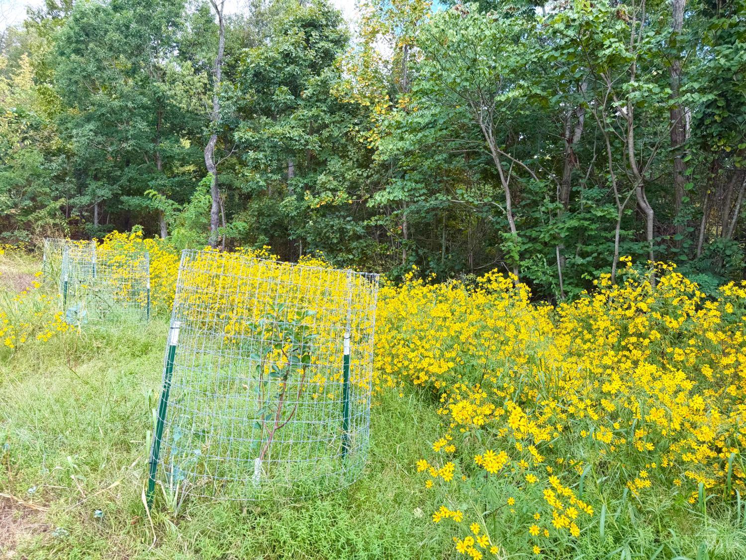 Roy Rogers Road, Lucasville, OH, 45648 — photo 25
