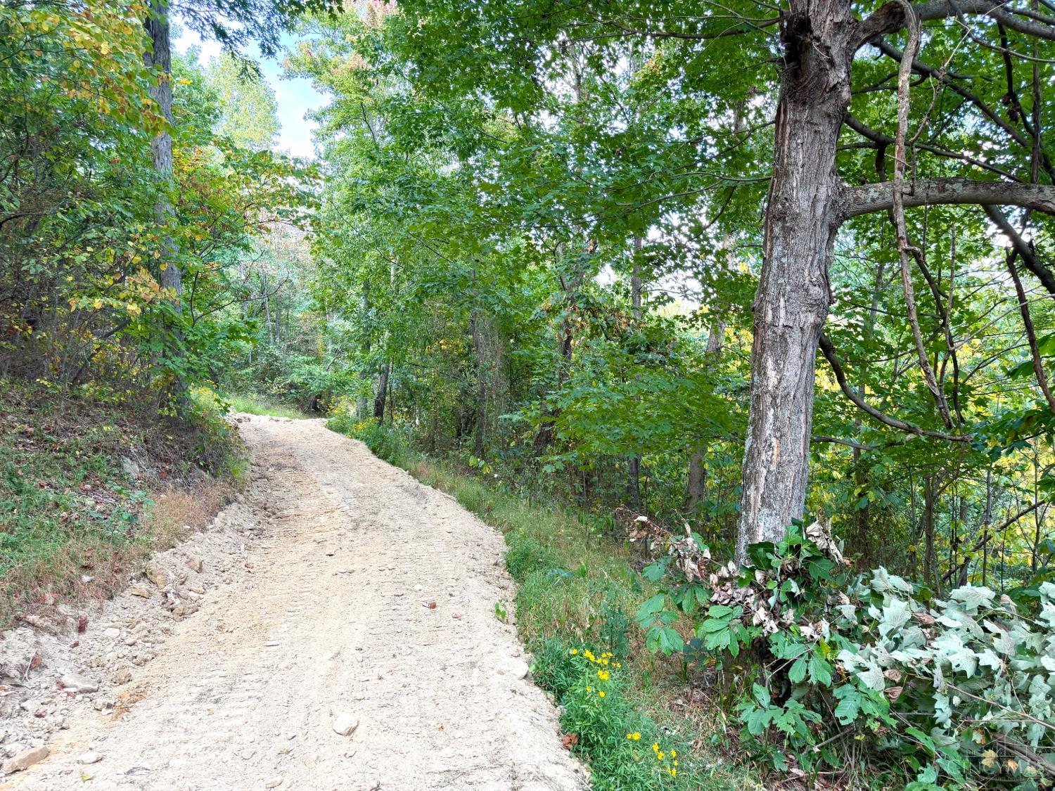 Roy Rogers Road, Lucasville, OH, 45648 — photo 43