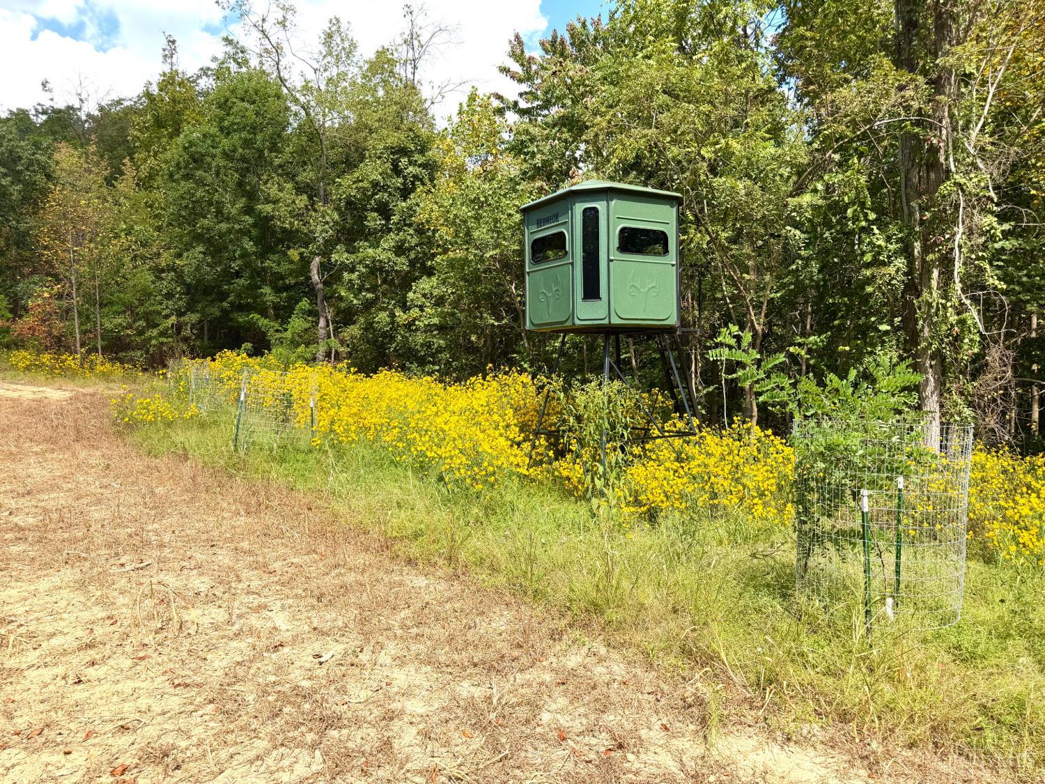 Roy Rogers Road, Lucasville, OH, 45648 — photo 19