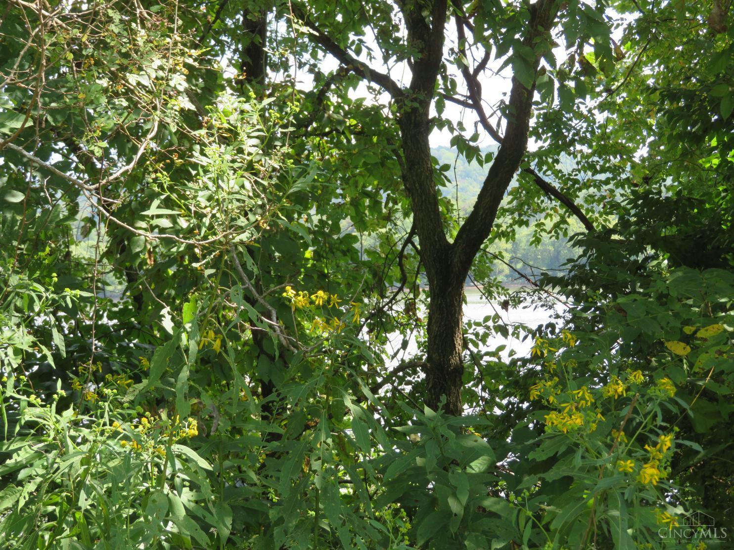 Tract 3 US Rt 52, Manchester, OH, 45144 — photo 10