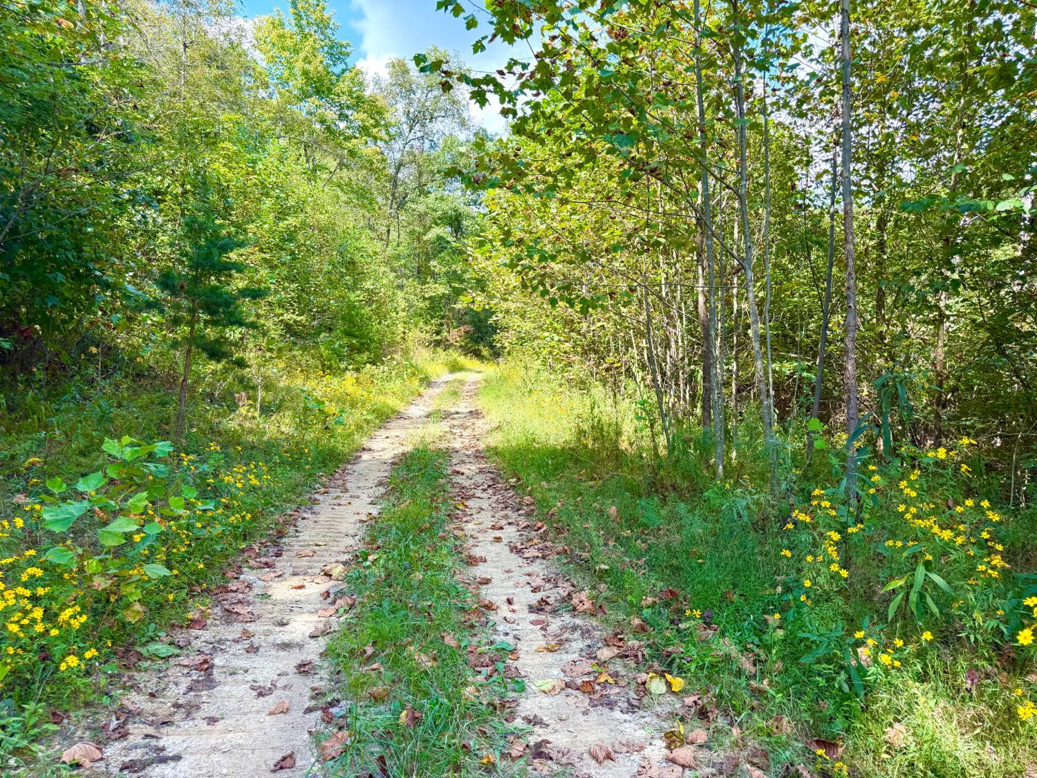 Photo 3 of Land for sale at Roy Rogers Rd, Lucasville, OH 45648 | MLS# 1893775 | Listing updated on 2026-09-15