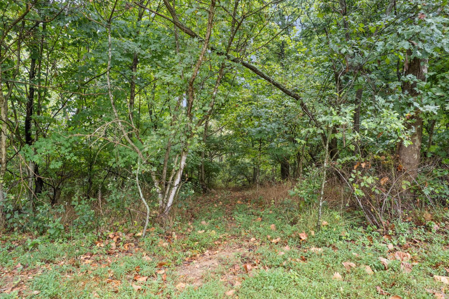 Swope Road, Tate Twp, OH, 45106 — photo 37
