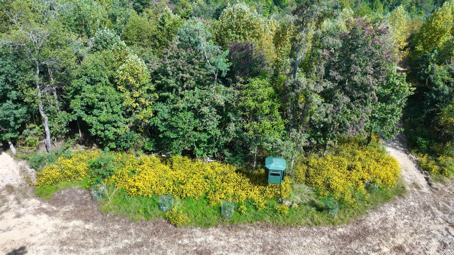 Roy Rogers Road, Lucasville, OH, 45648 — photo 45