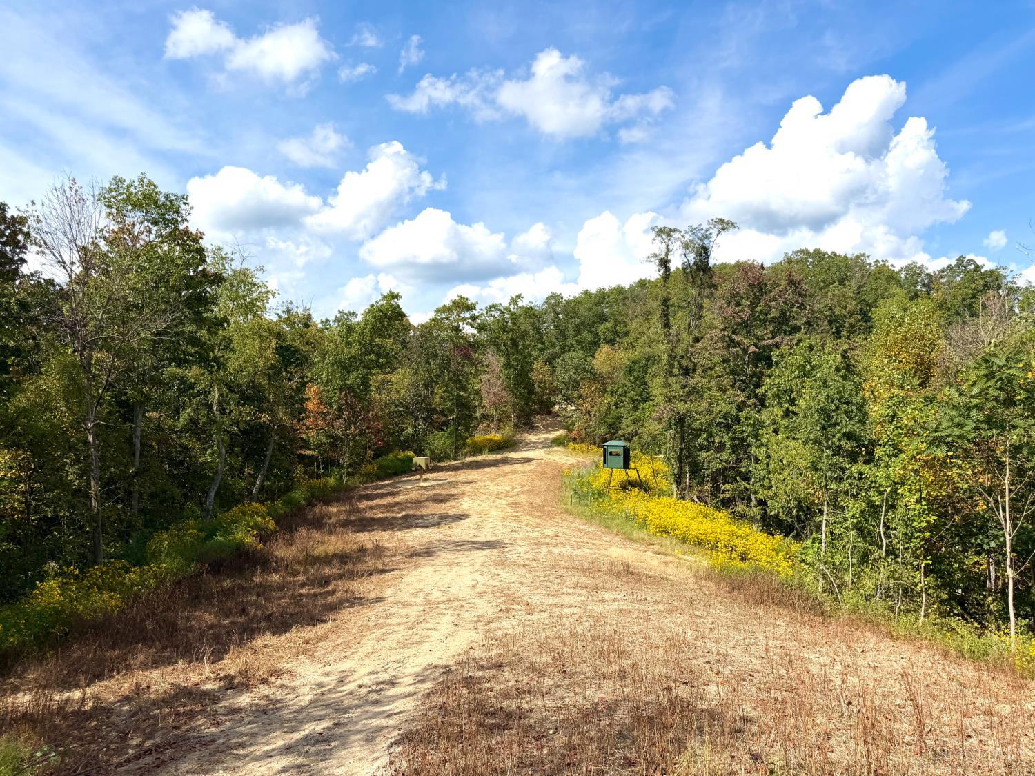 Roy Rogers Road, Lucasville, OH, 45648 — photo 33