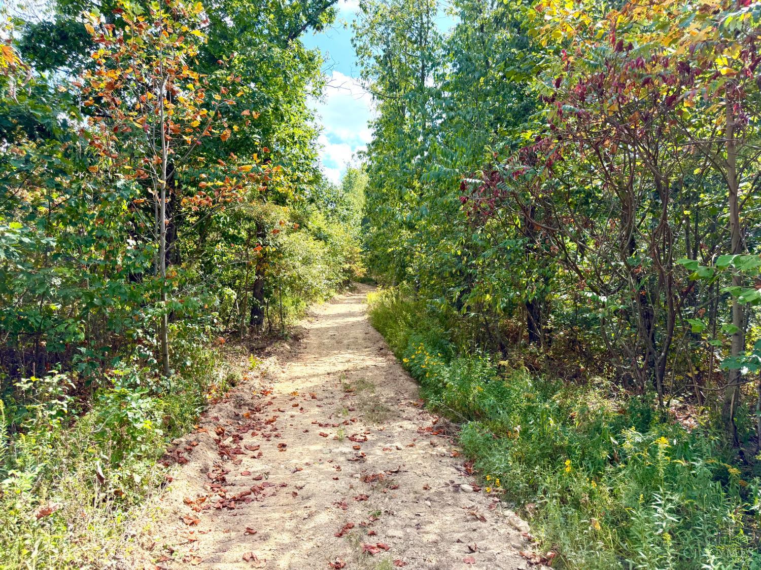 Roy Rogers Road, Lucasville, OH, 45648 — photo 27