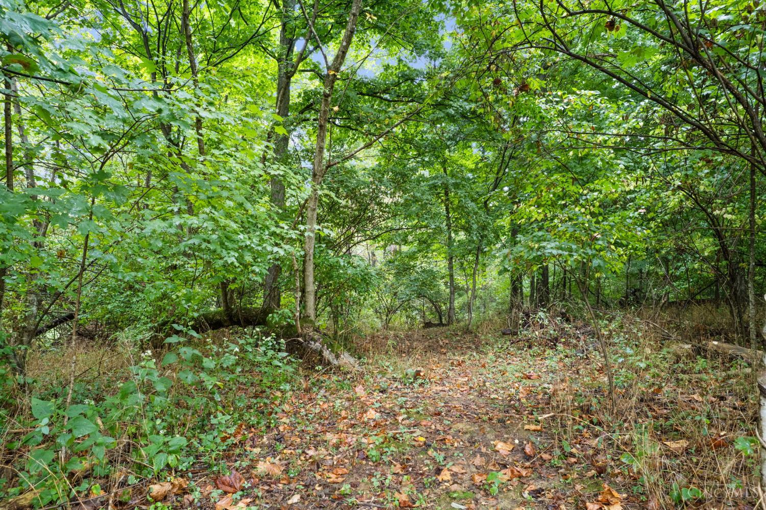 Swope Road, Tate Twp, OH, 45106 — photo 15