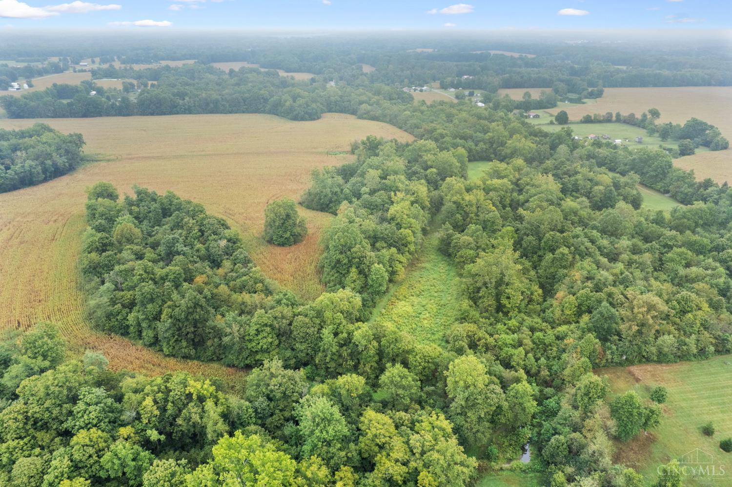 Swope Road, Tate Twp, OH, 45106 — photo 28