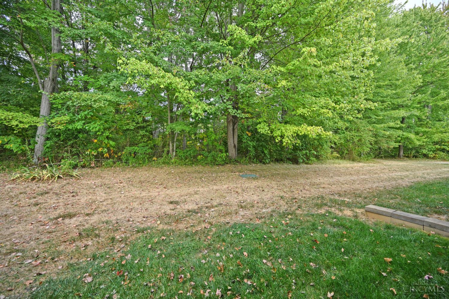 31 Tall Trees Drive, Batavia Twp, OH, 45102 — photo 37