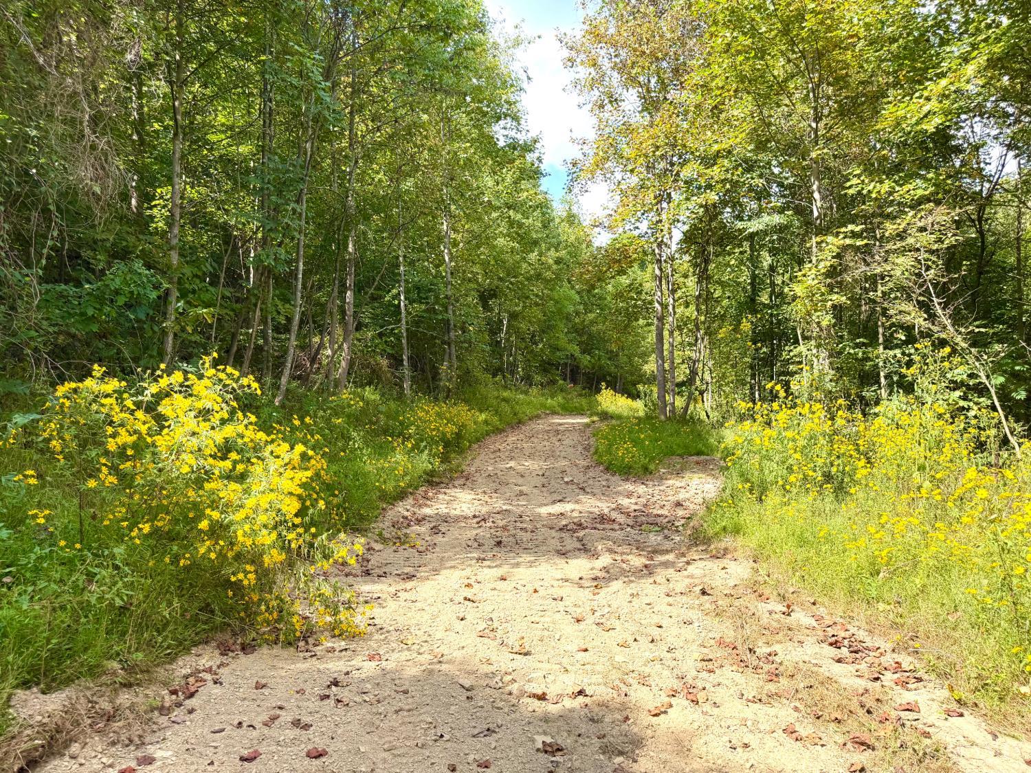 Roy Rogers Road, Lucasville, OH, 45648 — photo 14