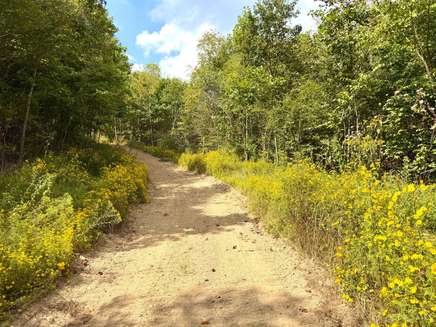 Roy Rogers Road, Lucasville, OH, 45648 — photo 11