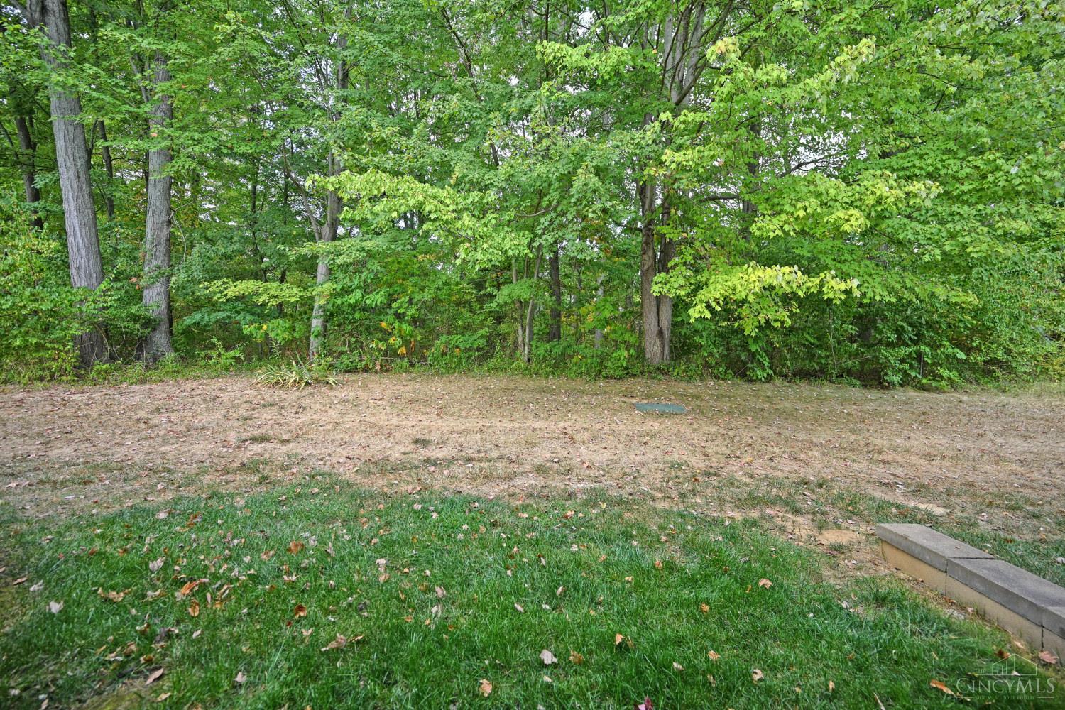 31 Tall Trees Drive, Batavia Twp, OH, 45102 — photo 36